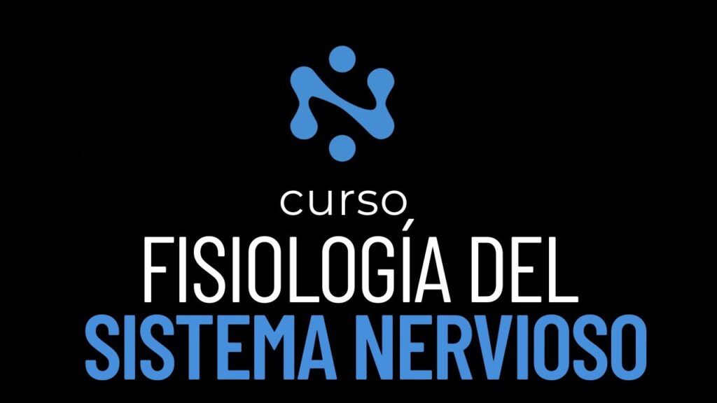 FISIOLOGÍA DEL SISTEMA NERVIOSO
