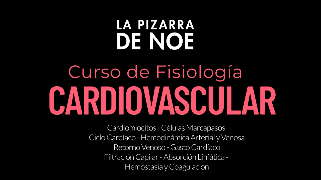 FISIOLOGÍA CARDIOVASCULAR