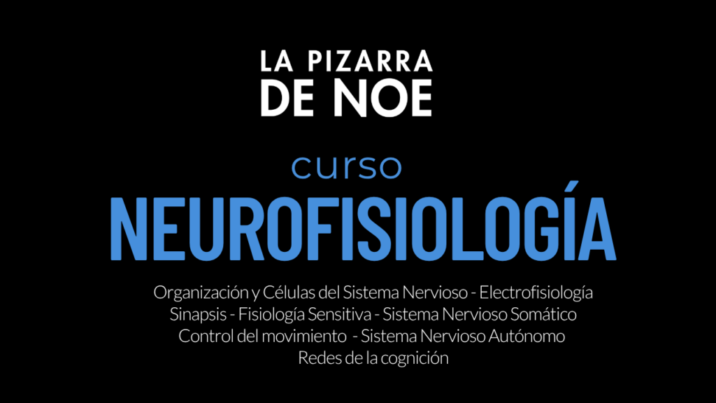 NEUROFISIOLOGÍA