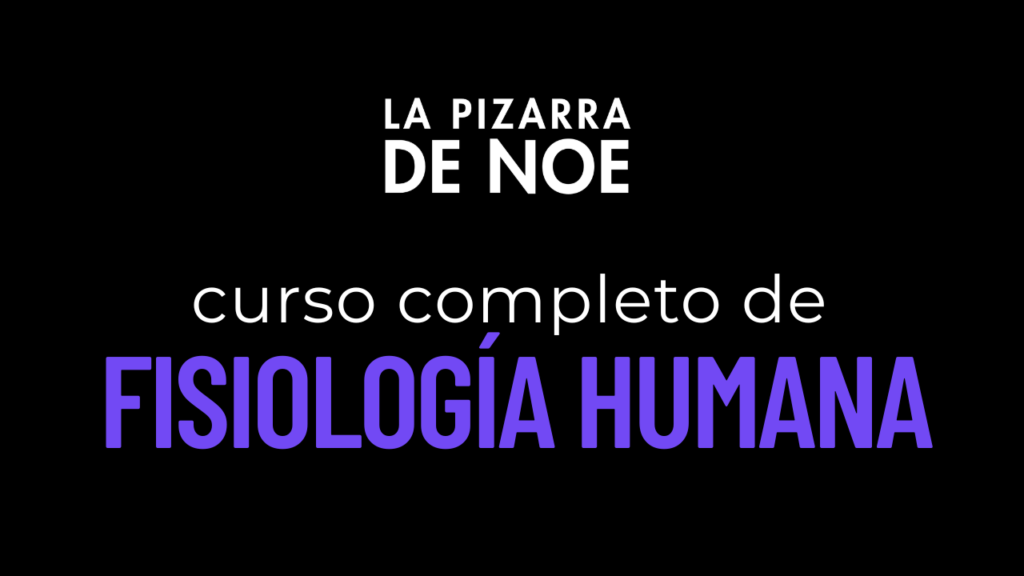 CURSO COMPLETO DE FISIOLOGÍA HUMANA