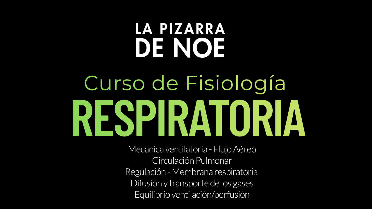FISIOLOGÍA RESPIRATORIA